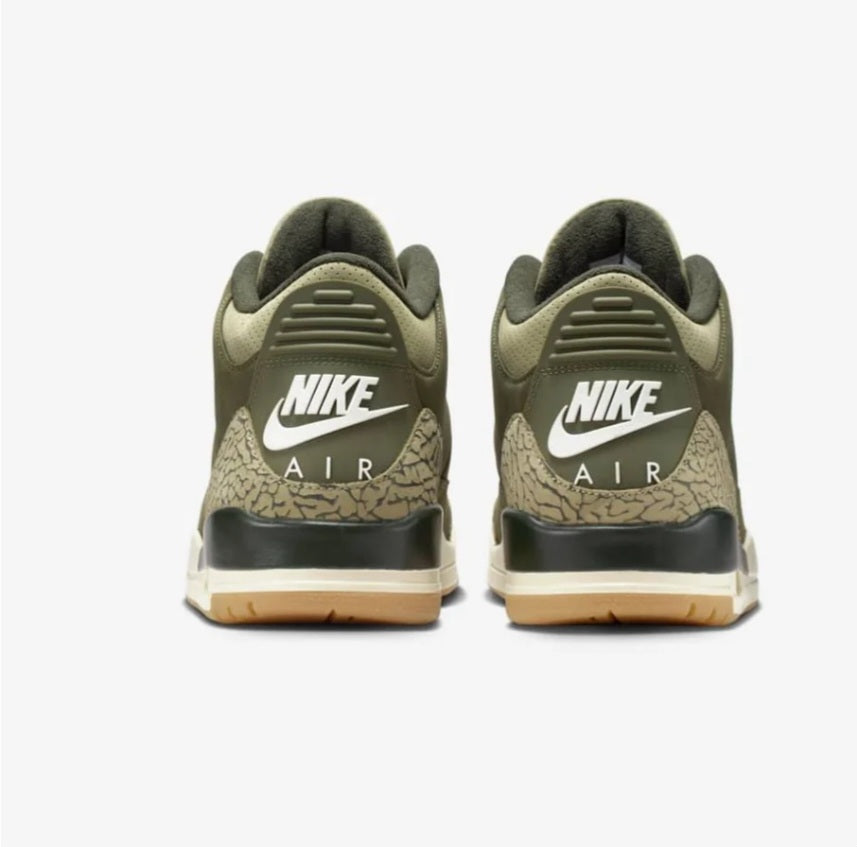 Air Jordan 3 Retro Family Affair