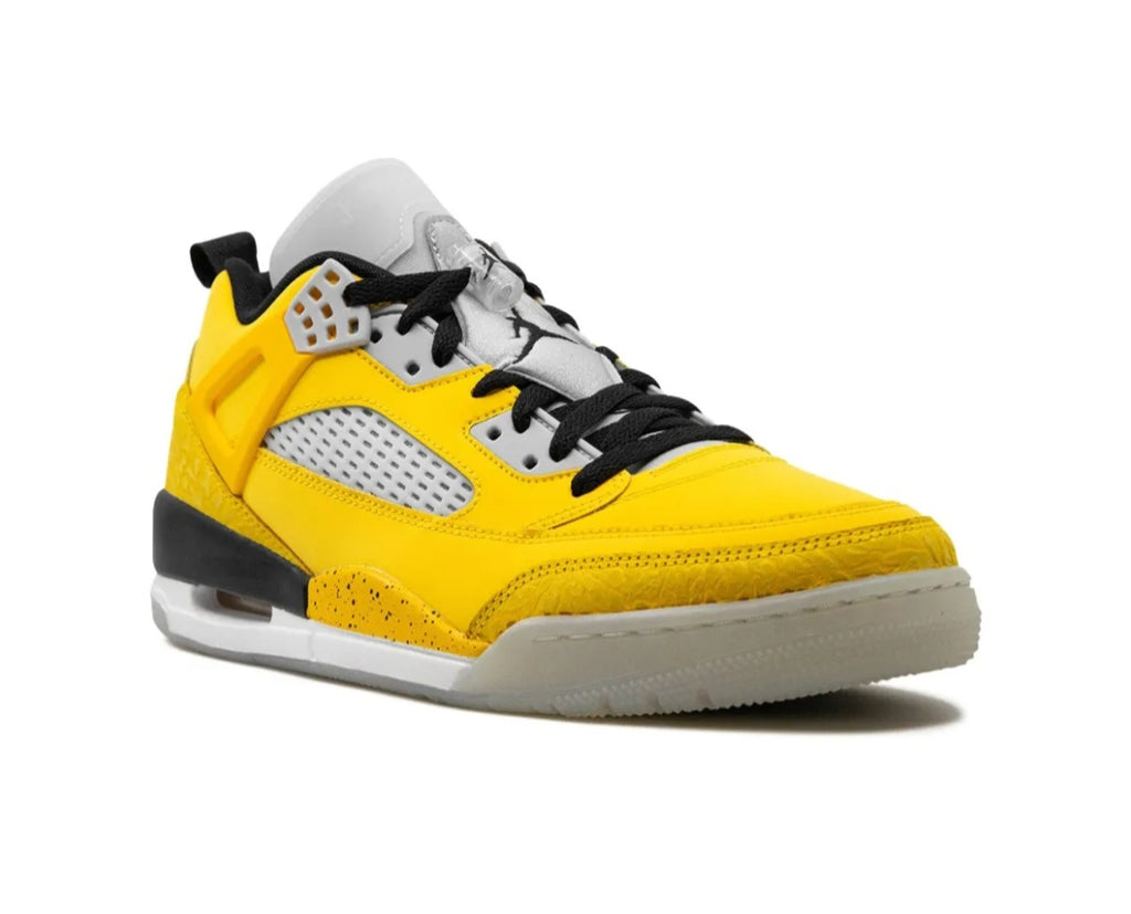 Air Jordan Spizike Low SNEAKERS